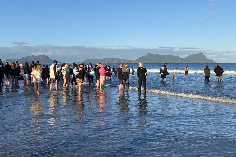 Stranded whales rescued in New Zealand