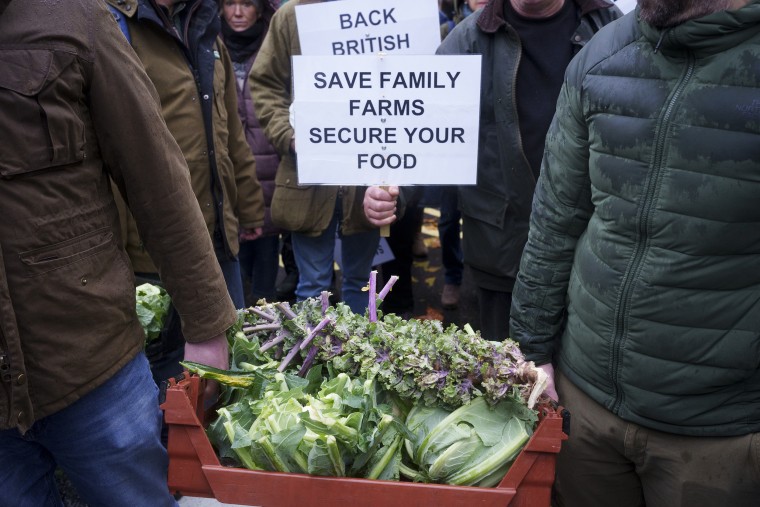 British Farmers Protest In London