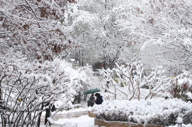 According to the state weather agency, more than 16 centimeters of snow blanketed capital city Seoul on Wednesday, marking the biggest snowfall in November since modern weather observations began in 1907. 