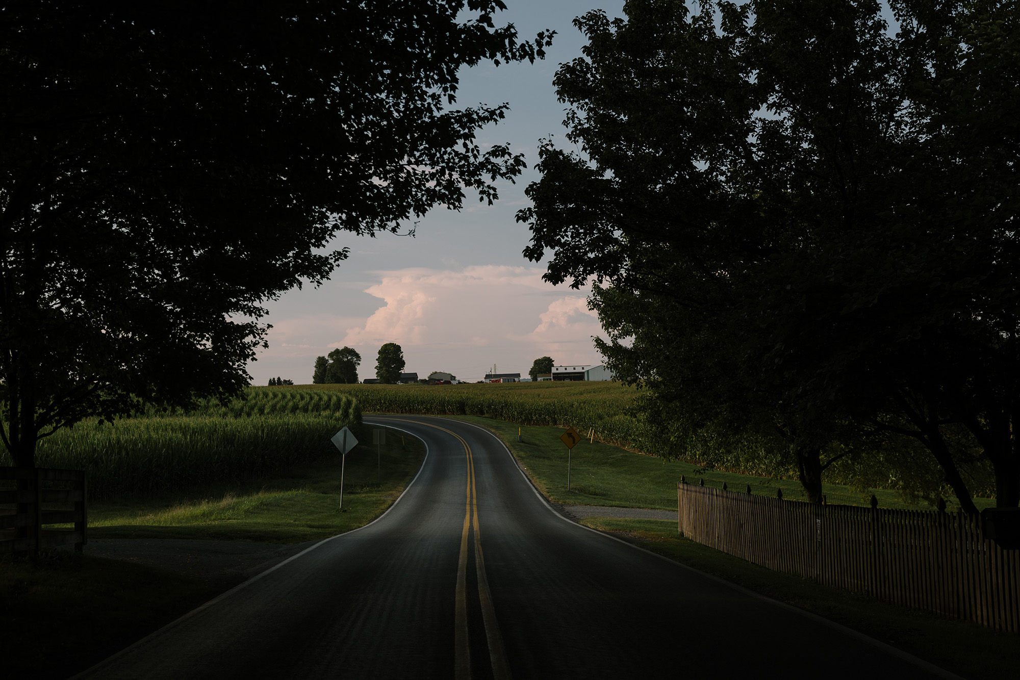 A road with trees on both sides with a farm house ahead.