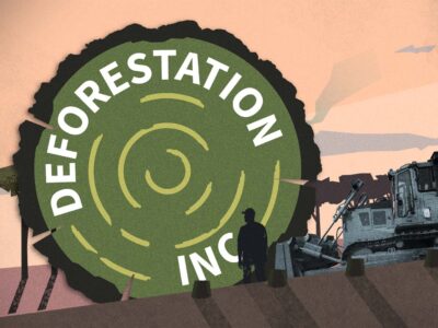 Deforestation Inc. wins 2024 Oakes Award for environmental journalism