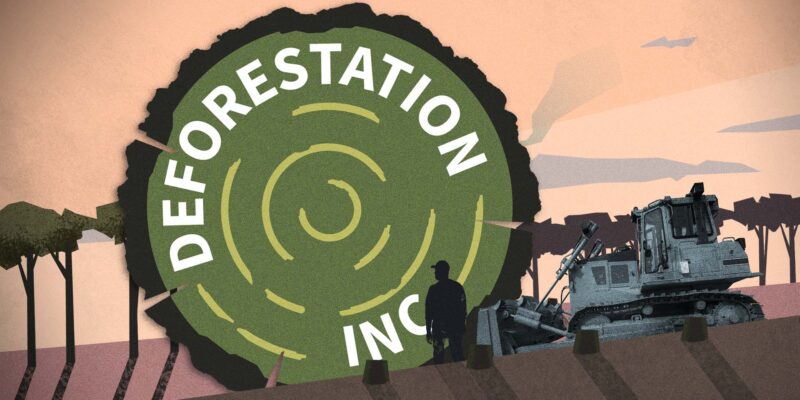 Deforestation Inc. wins 2024 Oakes Award for environmental journalism