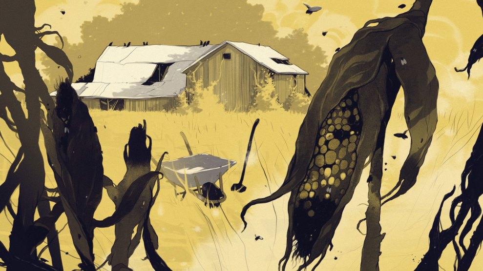 A digital illustration shows a dilapidated barn standing in a field overgrown with weeds. The foreground is dominated by tall, withered corn stalks, one of which has a damaged ear of corn exposed. A wheelbarrow and some gardening tools are visible among the vegetation, suggesting abandonment and neglect. The scene is shaded in muted yellow and green tones, giving it a somber and desolate atmosphere.