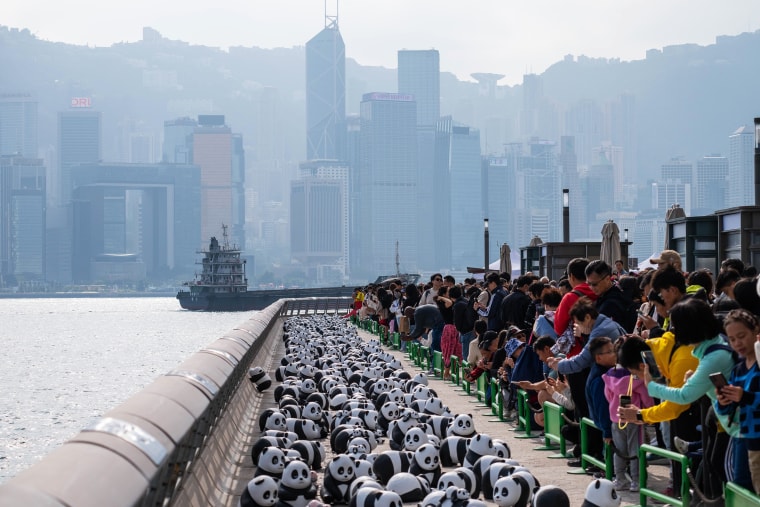 China Gifted Pandas Available For Public Viewing At Hong Kong Ocean Park