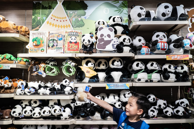 New Wave Of Panda Fever Sweeps Through Ocean Park Hong Kong