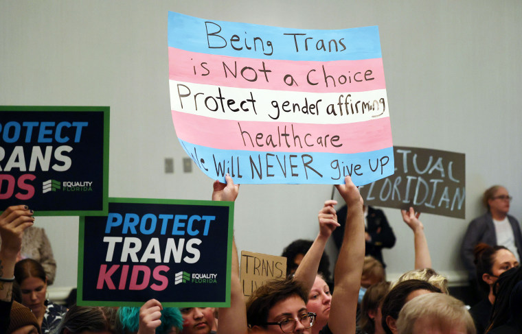 Protesters hold signs in support of transgender youth and trans access to healthcare.