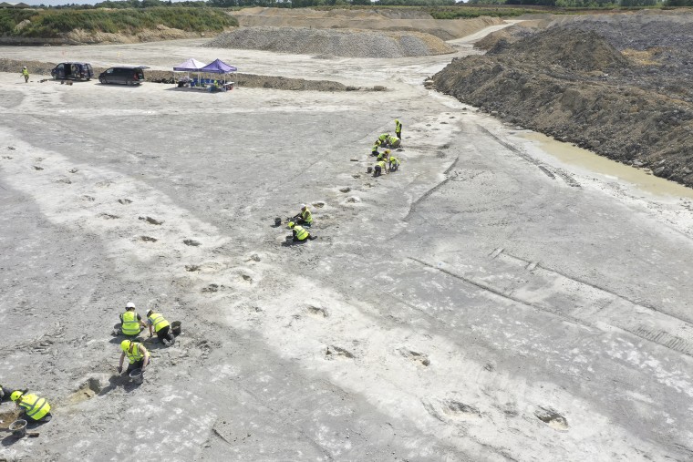 Work underway as five extensive trackways that formed part of a “dinosaur highway” are uncovered 