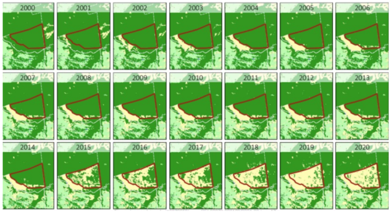 piauí deforestation in the Amazon