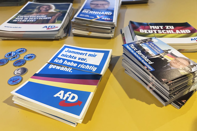 AfD fliers at a pre-election rally in Karlsruhe, Germany on Feb. 19, 2025.