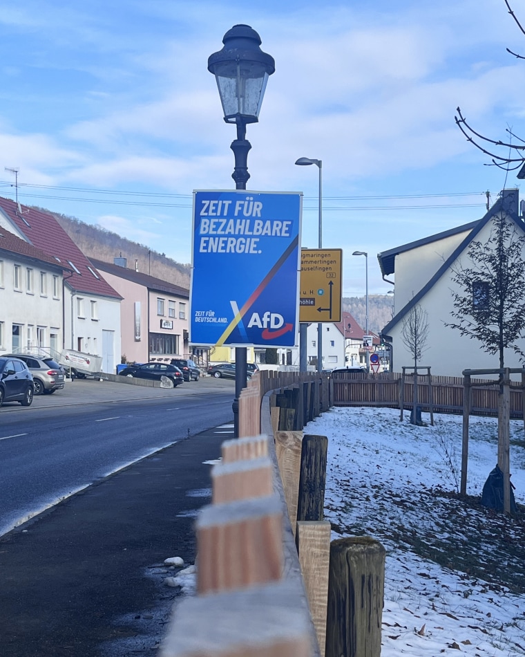 AfD German Elections