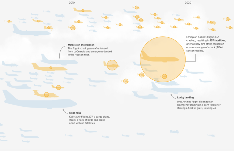 Reuters, bird strike visual investigation