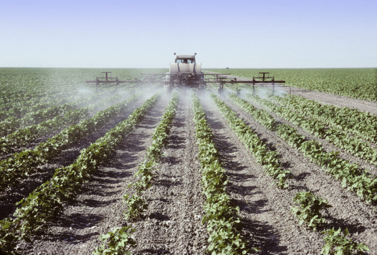 Crop,Sprayer,Spraying,Young,Cotton,Plants,In,A,Field,In